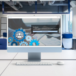 Descuentos Audyum